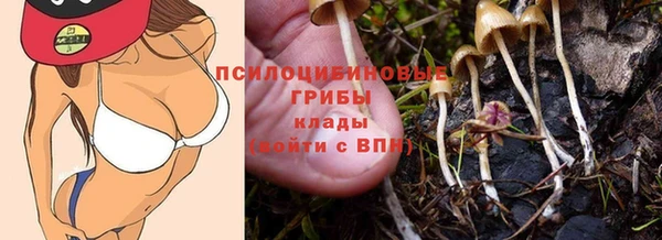 винт Арсеньев